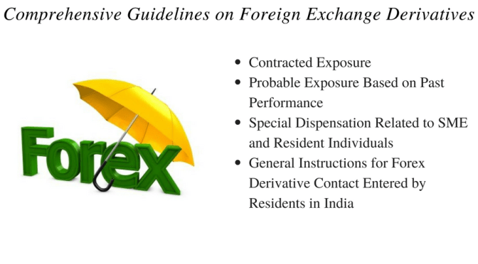 Comprehensive Guidelines on Foreign Exchange Derivatives